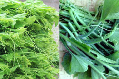 Mẹo hay tránh ngay rau 'ngậm' hóa chất