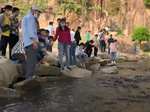 Clip: Hàng ngàn con cá trê đen nổi đặc kín mặt hồ ở An Giang