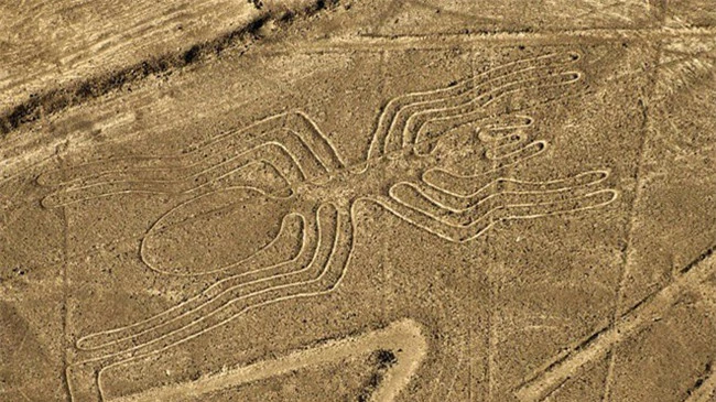 Nazca Lines nằm ở đồng bằng ven biển, cách thủ đô Lima của Peru khoảng 400 km về phía Nam.
