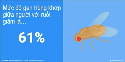 Phát hiện kinh ngạc về sự trùng khớp giữa gen người và động vật - 6