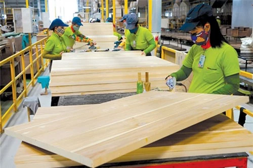 Tháng 1/2021: Xuất khẩu gỗ đạt 1,25 tỷ USD