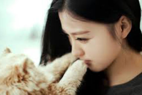 Đến nhà tôi ăn giỗ, người yêu say xỉn rồi ôm cổ bố tôi thì thầm vài câu mà bố đã đồng ý gả tôi ngay