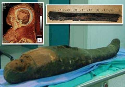 Phát hiện dụng cụ moi não xác ướp Ai Cập