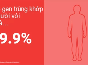 Phát hiện kinh ngạc về sự trùng khớp giữa gen người và động vật