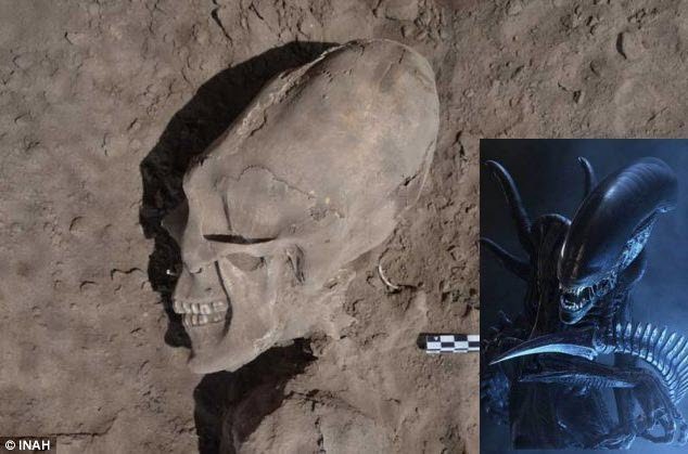 Tìm thấy hộp sọ ‘người ngoài hành tinh’