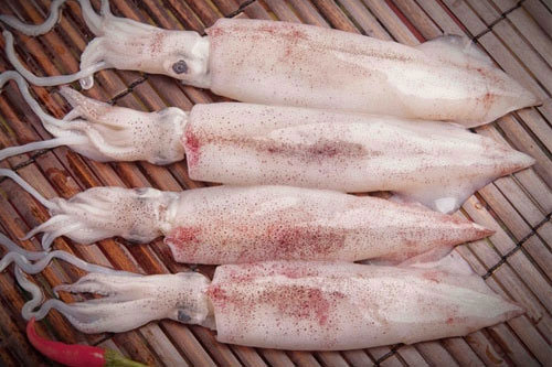 Mẹo chọn mực tươi ngon như dân biển