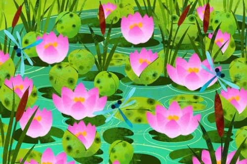 Thách thức thị giác 3 giây: Đố bạn tìm ra con ếch xanh trong đầm sen nở rộ