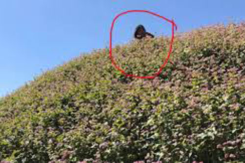 Cô gái nhờ người yêu chụp ảnh sống ảo để rồi nhận về 'cái kết đắng'