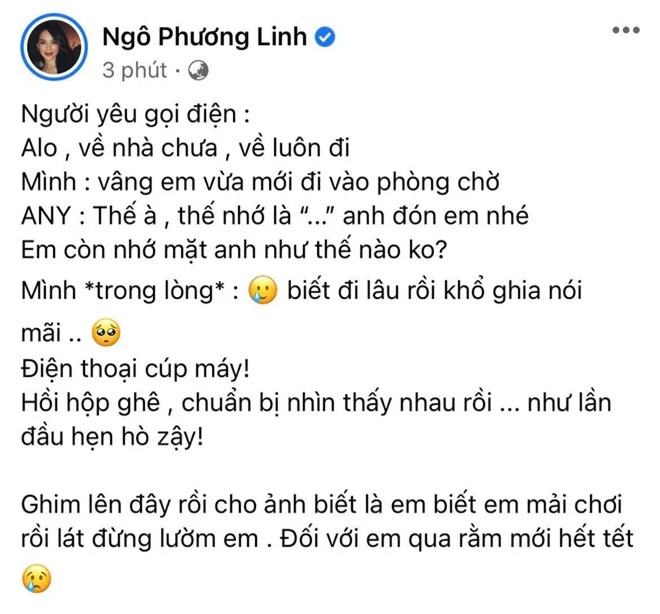 Linh Rin kể chuyện bị Phillip Nguyễn dỗi đến tắt điện thoại, tưởng biến căng ai ngờ phát “cẩu lương” trá hình - Ảnh 2.