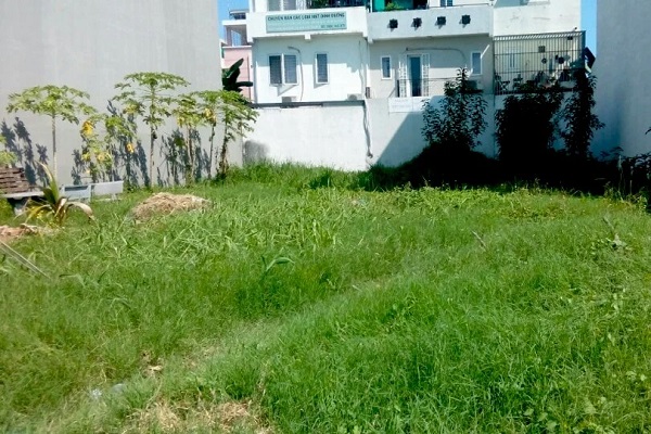 Đất nền, đất thổ cư được tìm kiếm nhiều nhất trong tháng 1/2021