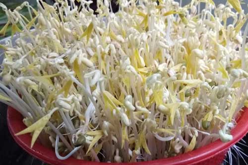 Một số thực phẩm không được ăn sống bạn cần lưu ý: Số 1 rất nhiều người mê