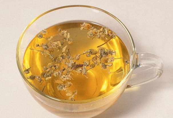 Trà hoa cúc - bí quyết trường thọ cho phái đẹp?