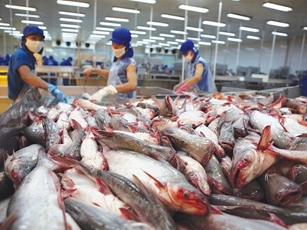 697 doanh nghiệp thủy sản Việt Nam được phép xuất khẩu vào thị trường Đài Loan