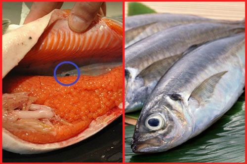 3 bộ phận cực độc của cá, đừng dại ăn vào kẻo nguy hại