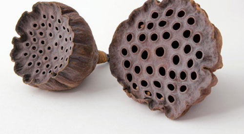 Những bức ảnh đơn giản mà khiến triệu người bị ám ảnh, ngủ cũng thấy kinh hoàng