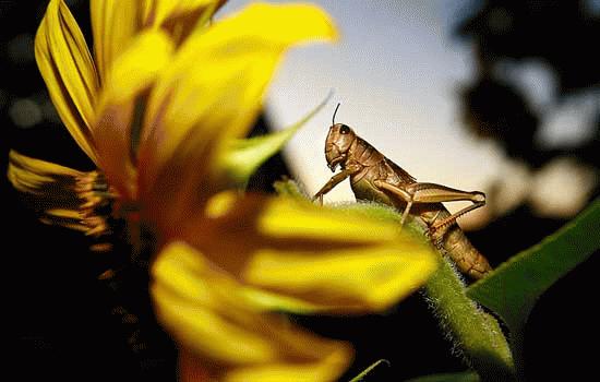 Khoảnh khắc đáng yêu của loài "đáng ghét"