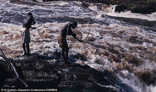 Loài người biết ăn thực vật từ 180.000 năm trước