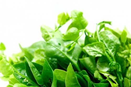 Những loại rau không nên dùng để ăn lẩu