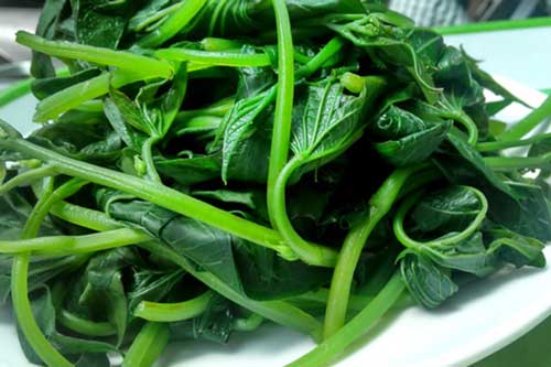 Những sai lầm khi luộc rau nạp thêm chất độc hại vào cơ thể