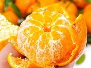 Những loại trái cây giúp tăng cường hệ miễn dịch tốt nhất