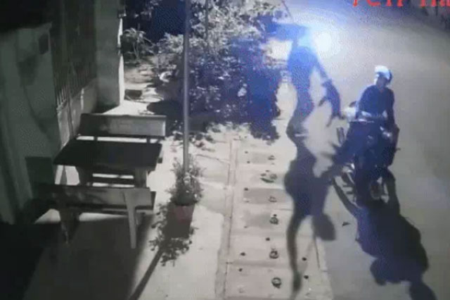 Clip: "Cẩu tặc" ngang nhiên chích điện bắt chó ngay trước cửa nhà dân