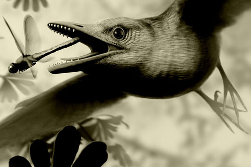 Kinh ngạc sinh vật bụng đầy đá quý, sống cạnh khủng long