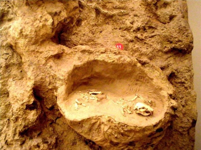 Ai là người đã làm ra cái vặn nút chai của quỷ cao hơn hai mét này từ hàng triệu năm trước? - Ảnh 4.
