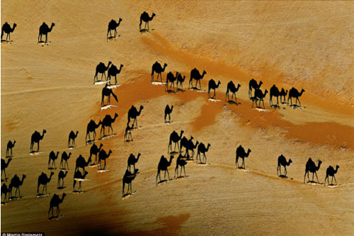 Bí quyết chụp bức ảnh để đời của nhiếp ảnh gia NatGeo