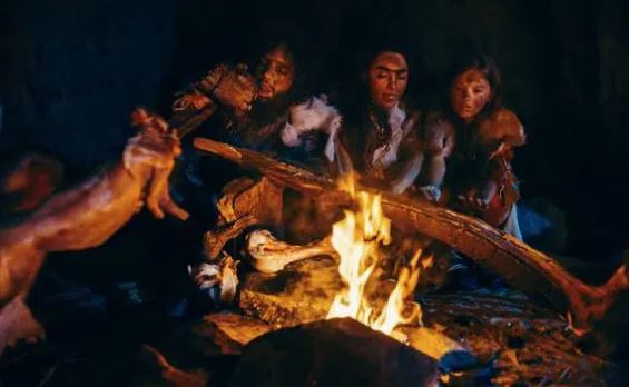 Con người có vai trò gì trong quá trình tuyệt chủng của các loài hiện đại?