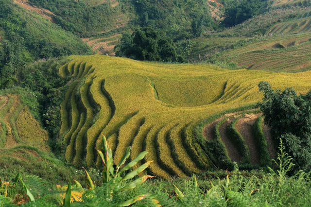 Top 10 điểm đến tuyệt vời nên khám phá ở Việt Nam