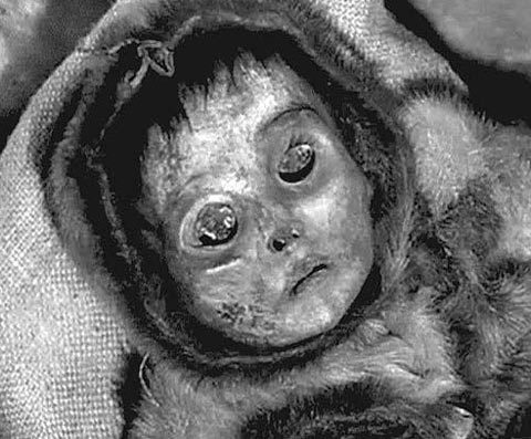 Ngắm những xác ướp kỳ lạ nhất thế giới