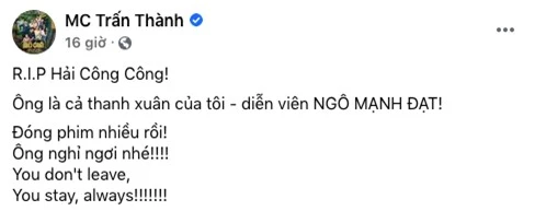 Trấn Thành, bạn trai Lệ Quyên và loạt sao Việt xót xa tiễn biệt bầu trời thanh xuân ra đi mãi mãi - Ảnh 2.