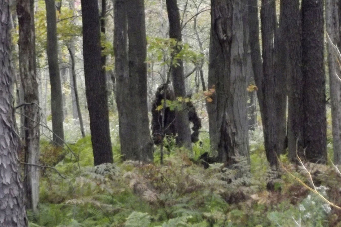 Khỉ khổng lồ, khoa học và huyền thoại