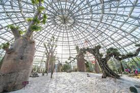 Khám phá khu vườn “kỳ hoa dị thảo” tại Nha Trang