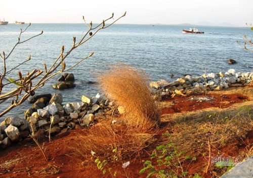 Bị bỏ rơi lúc bệnh tật, cô gái bất ngờ với quyết định của mẹ chồng tương lai