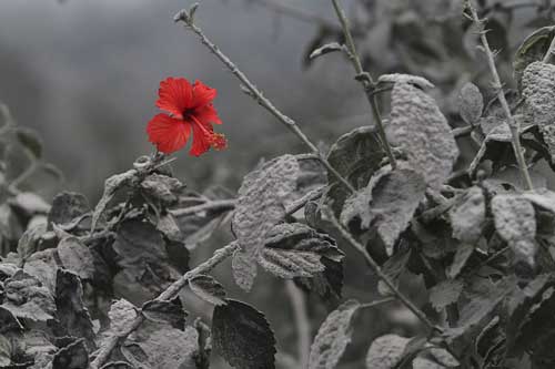 Ngỡ ngàng những bức tranh thiên nhiên “ảo” như photoshop