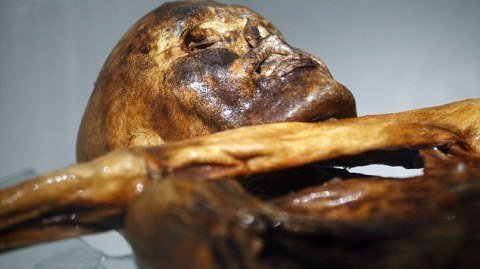 Người băng Otzi chết do lây bệnh từ bọ chét?
