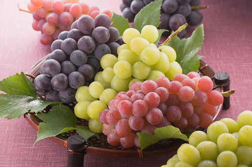 Khám phá các giá trị tuyệt vời của trái nho