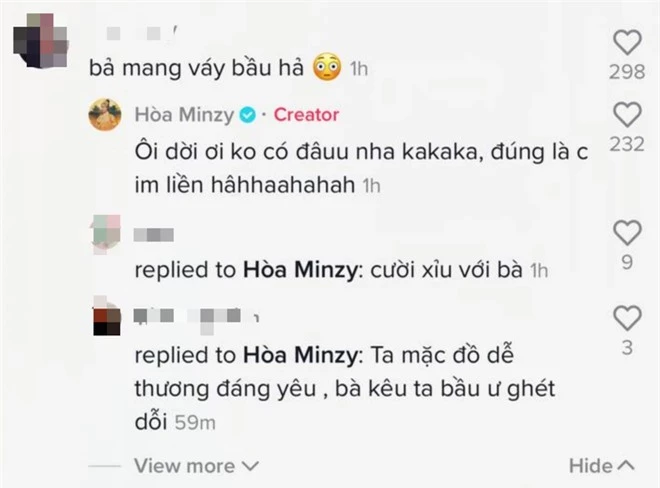 Netizen đặt nghi vấn mang thai lần 2, Hoà Minzy có phản ứng lầy lội gợi nhớ chuyện bí mật sinh con năm xưa - Ảnh 3.