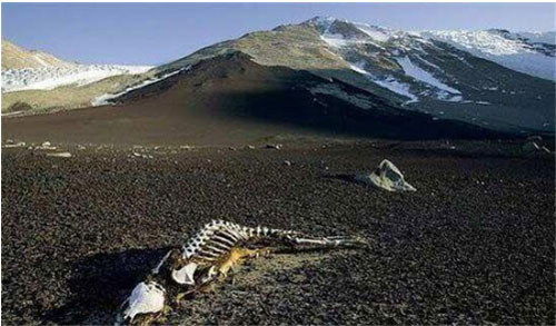 7 điểm du lịch rùng rợn ở Trung Quốc không dành cho người yếu tim