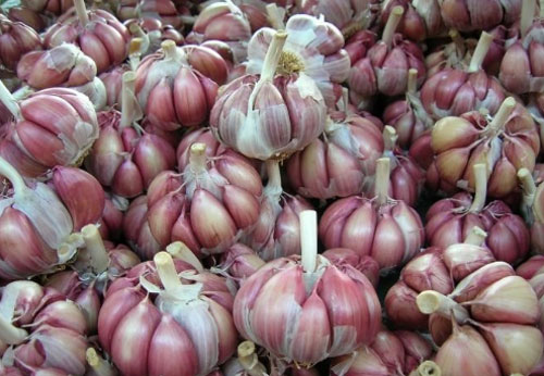 Điều gì xảy ra với cơ thể khi bạn ăn tỏi mỗi ngày?