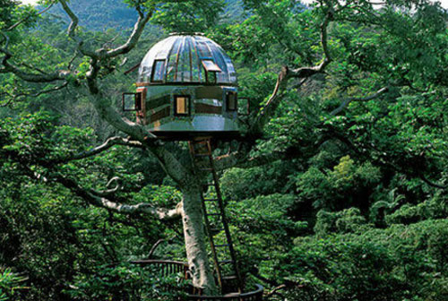 Top 10 ngôi nhà 'tổ chim' độc đáo trên thế giới