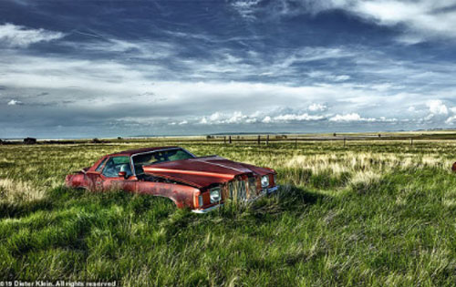 Vẻ đẹp ma mị của những chiếc ô tô bị thiên nhiên xâm lấn