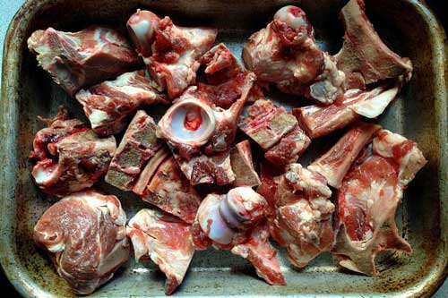 Phát hiện đột phá: Xương lợn có thể hấp thụ phóng xạ hạt nhân