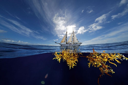 Vùng biển không bờ và bí ẩn về loạt xác tàu vô chủ trôi nổi