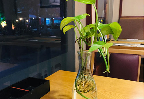 Khổ sở vì chồng không đi làm nhưng lại thích tiêu hoang