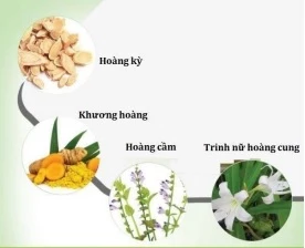 Các thảo dược có tác dụng phòng ngừa và cải thiện u xơ tử cung hiệu quả.