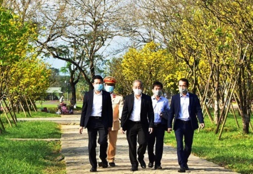 Thừa Thiên Huế phát động phong trào “Mai vàng trước ngõ”