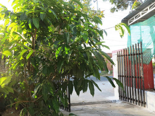 Anh em chồng trả tôi 3 triệu đồng/tháng để làm osin cho họ