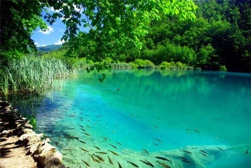 Vẻ đẹp "ngộp thở" của vườn quốc gia Croatia - 6